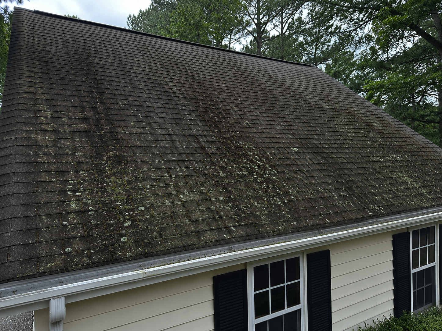 Roof cleaning before